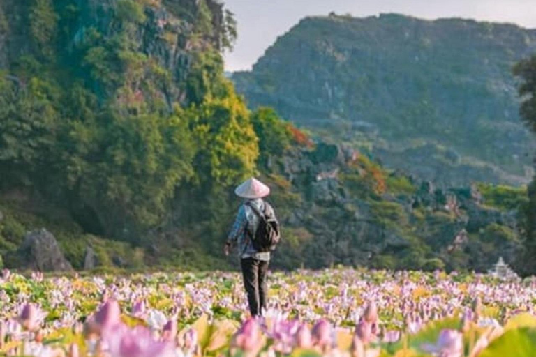 Tour di un giorno con la barca di Trang An, la Pagoda di Bai Dinh e la Grotta di Mua