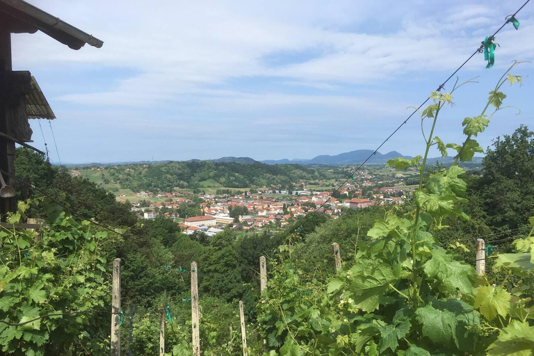 Marija Bistrica: E-bikes to the Wineries of Zlatar City