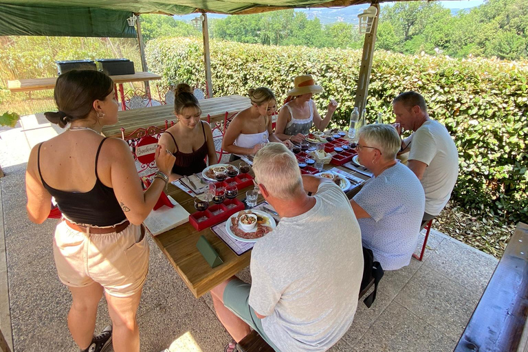 Visite des vignobles de Toscane en navette depuis Lucques