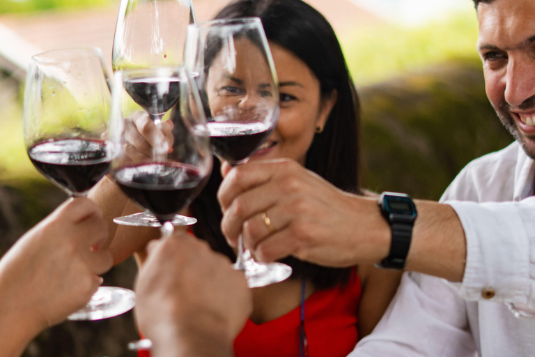 Douro Valley: A Sensory Experience in the Douro: Wines, Olive Oil, and History Douro Valley: Sensory Experience in the Douro: Wines, Olive Oil, and History