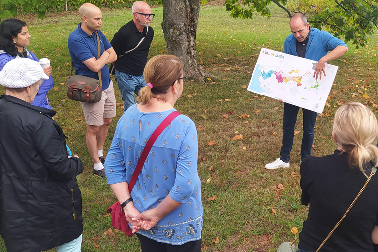 Afternoon- Wine tour in Touraine from Tours or Amboise