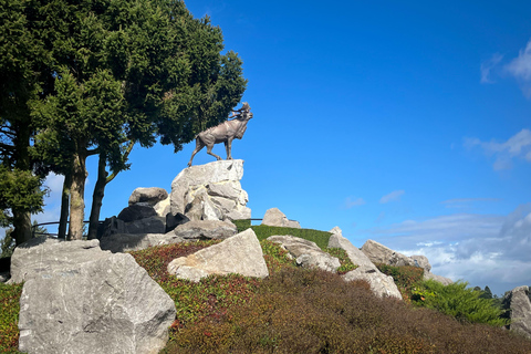 From Paris : WWI Somme Battlefields with Licensed Guide