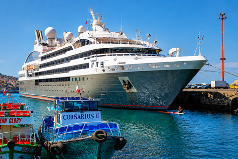 Santiago: Valparaíso Cruise Port Transfer & Vineyard Tour