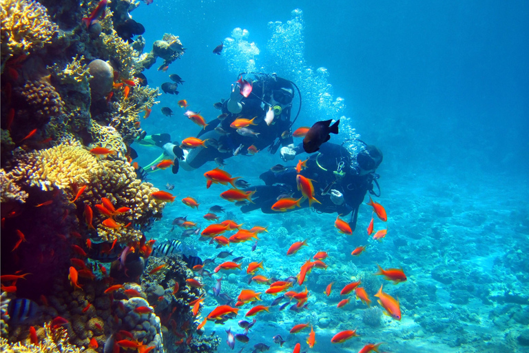 Eilat: Intro to Diving with Certified Instructor