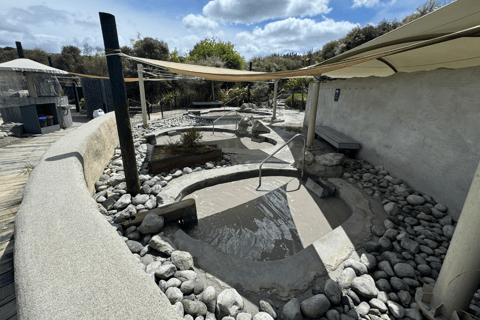 Private Day Tour - Hobbiton Movie Set, Rotorua & Treewalks