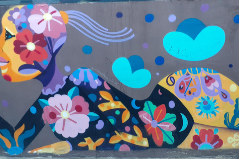 比尼亚德尔马、雷尼亚卡和康康之旅