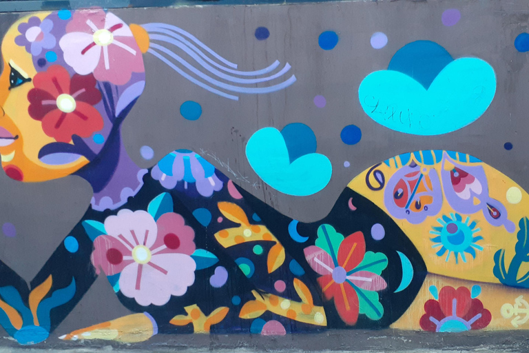 比尼亚德尔马、雷尼亚卡和康康之旅