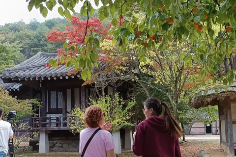 Gyeongbuk Day Trip: Omija Ssamjang Making & Mungyeong Trek