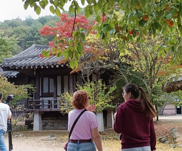 Viagem de 1 dia a Gyeongbuk: Fabrico de Omija Ssamjang e caminhada em Mungyeong