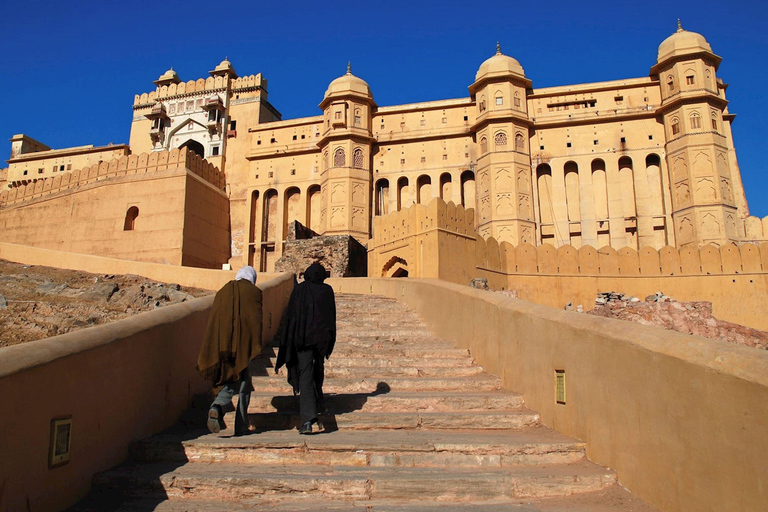 From Delhi: Private Full-Day Jaipur City Tour By Car Only Private Tour Guide