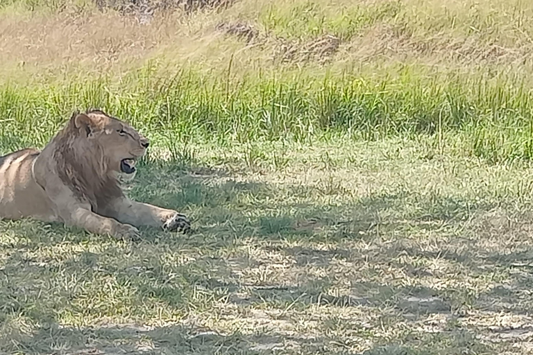 Masai Mara: 3 giorni di Masai Mara