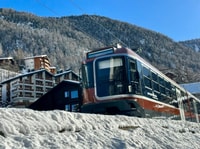 Interlaken Private Tour naar Gornergrat & Matterhorn Paradise - Housity
