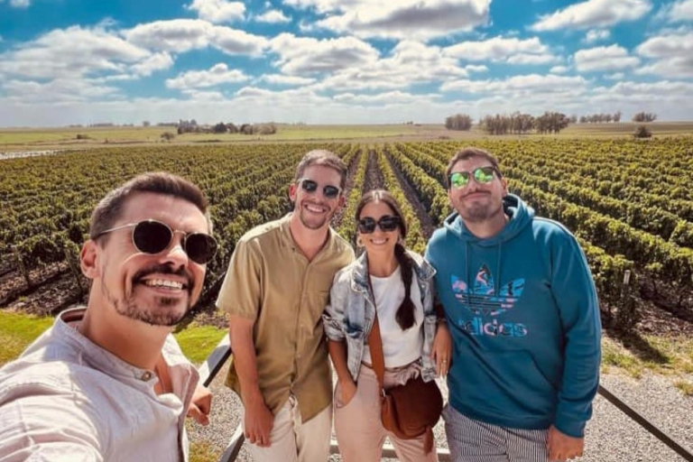 Excursion d'une journée dans un domaine viticole - depuis Colonia del SacramentoVisite d'un domaine viticole AVEC TRANSPORT INCLUS