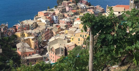 Vernazza Cinque Terre: Wine Tasting and Scenic Vineyard Tour