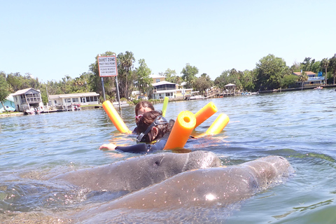 Crystal River: Guided Manatee Tour Heated Boat Free Photos