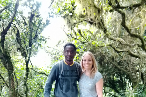 نيروبي: جولة مشي طويلة بصحبة مرشدين في تلال نغونغ مع حبل انزلاق اختياري