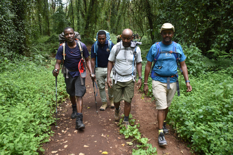 Excursion d'une journée à pied dans le parc national d'ArushaExcursion d'une journée dans le parc national d'Arusha et safari à pied