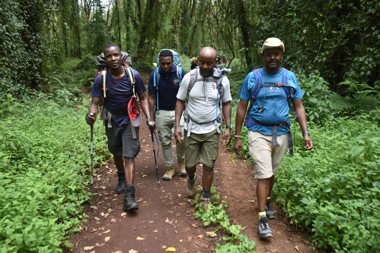 Excursion d'une journée à pied dans le parc national d'ArushaExcursion d'une journée dans le parc national d'Arusha et safari à pied