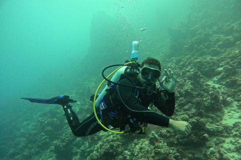 SSI Scuba Diver Course | Start Your Diving Journey