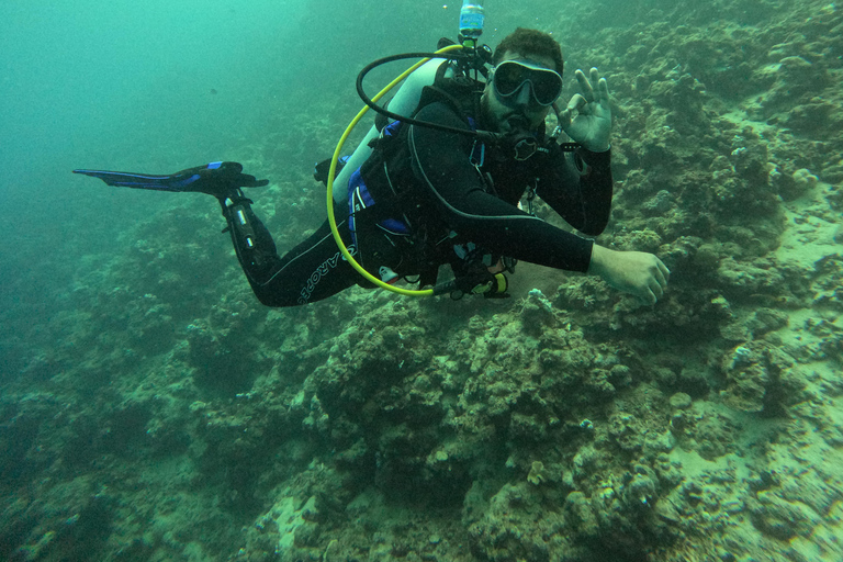 SSI Scuba Diver Course | Start Your Diving Journey