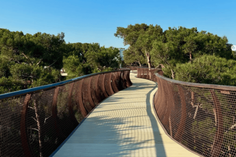 Discover the magnificent nature in Baku Central Botanical Garden Discover the Magnificent Nature at Baku Central Botanical Garden