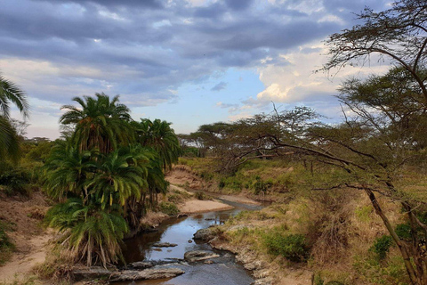 Arusha: 4-Day Group Safari