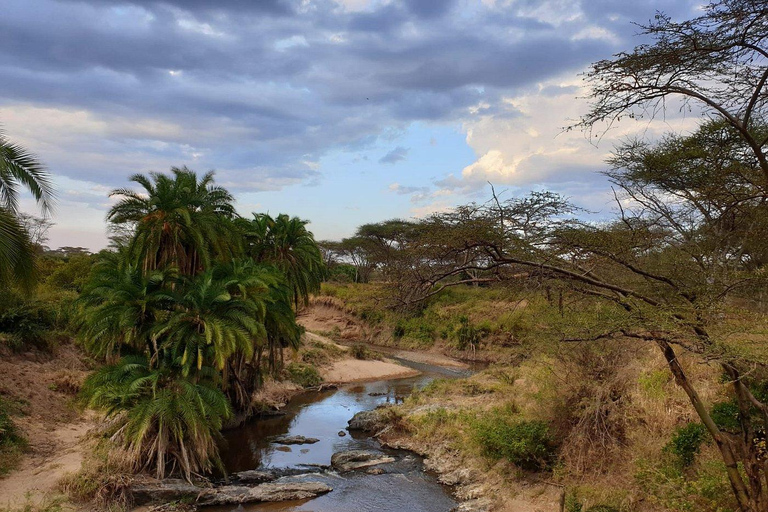 Arusha: 4-Day Group Safari