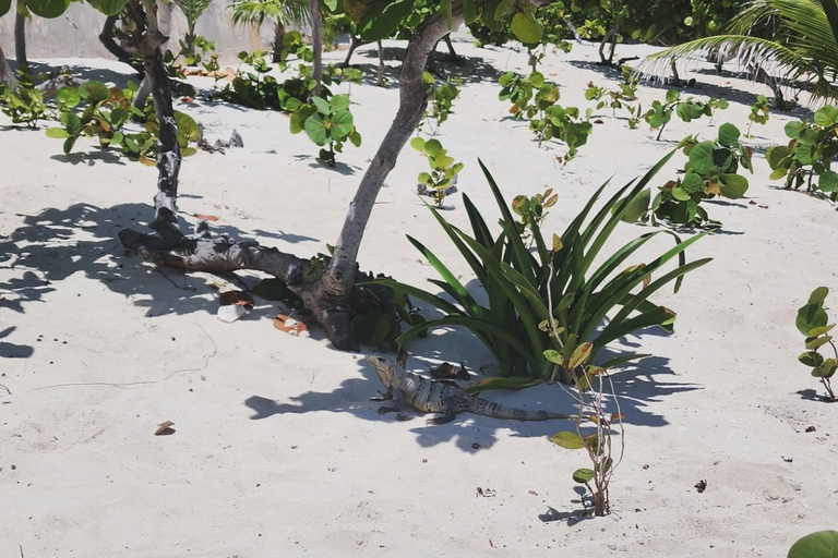 Cancun - shoppingtur Shoppingtur, Mayamuseum och marknad 28
