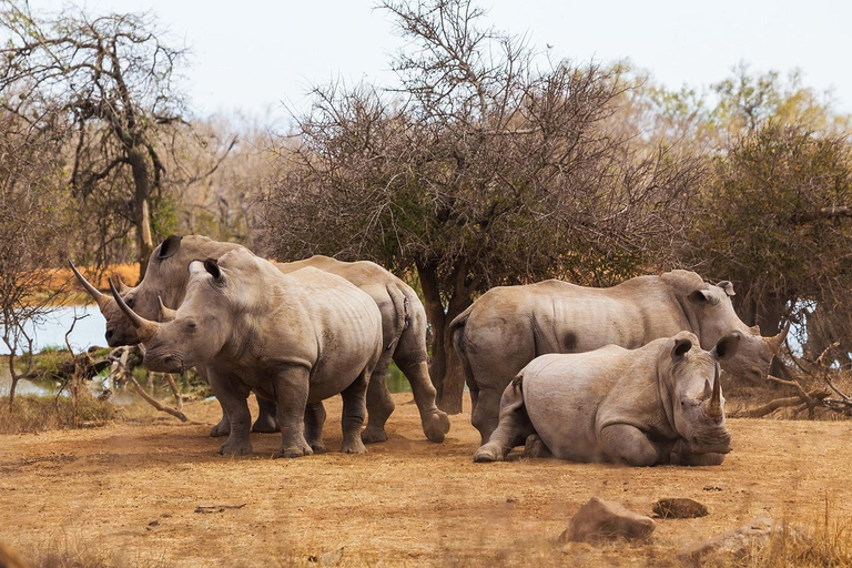 Ziwa Rhino Sanctuary Guided Walking Tour