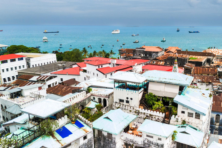 Mnemba island, Dolphin and Stone town tour with transfer WITH TRANSFER - WITH LUNCH