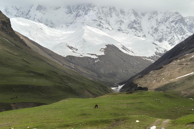 Batumi: 4-Day: Golden Fleece Legend & Medieval Svaneti Tower