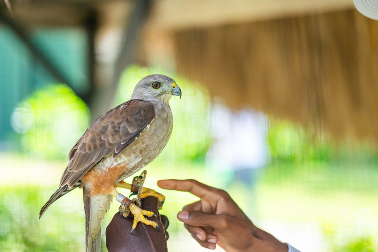 Los Ojos Eco Journey tour