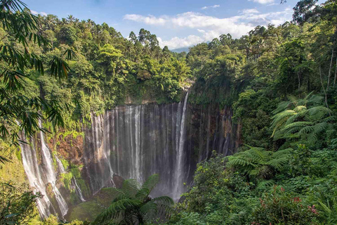 Bali to Yogya: Bromo, Ijen, Tumpak sewu, Prambanan,Borobudur