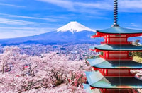 Tokio, Mt.Fuji, Oshino Hakkai y Onsen Hot Spring Day Trip - Housity