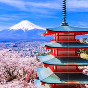 Tokio Mt Fuji Oshino Hakkai I Onsen Hot Spring 1 Dniowa Wycieczka