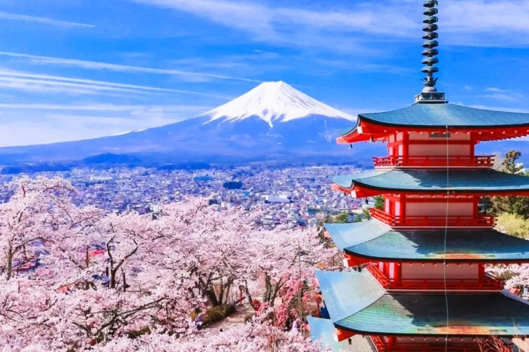 Tokio: Mount Fuji-gebied, Oshino Hakkai en Kawaguchi-meertourTour vanaf het ontmoetingspunt van de Shinjuku Bank
