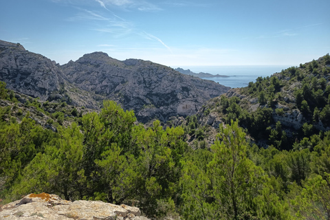 Marseille: Calanques National Park Guided Summit Hike Private tour : From coast to one of Calanques' park summit