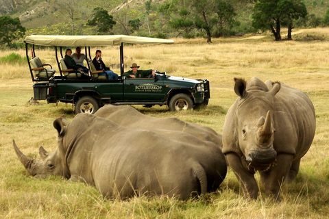 From Cape Town/Stellenbosch: 3 Day Garden Route and Safari Backpacker Dorm Room Package