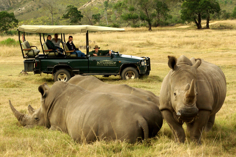 From Cape Town: 3-Day Garden Route Highlights and 4x4 SafariShared Group Tour with Shared Dorm Backpacker Hostel Stay