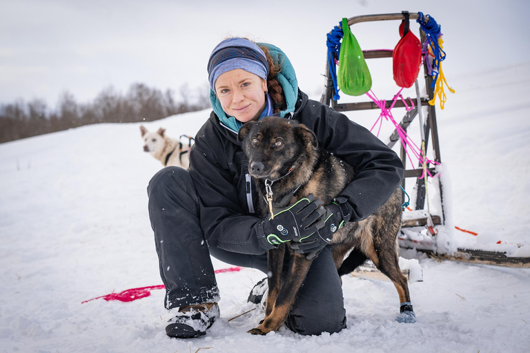 Tromsø: Dog Sledding Adventure at Camp Aspemo