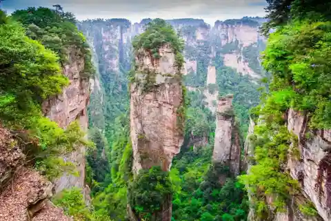Private Avatar VIP Zhangjiajie National Forest Park Day Tour