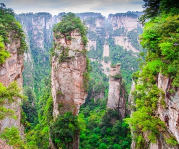 Private Avatar VIP Zhangjiajie National Forest Park Day Tour
