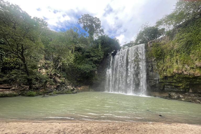 Rainforest Combo : Chocolate, Sloth & Nature