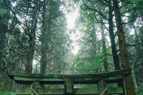 Fukuoka: Mt. Aso Volcano, Kusasenri & Grasslands Day Tour 7:40 Hakata Station Chikushi Exit Lawson Meetup