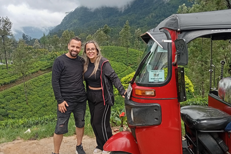 Kandy: Ambuluwawa, Pinnawala & Tea Factory by Tuk Tuk