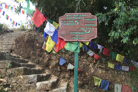 Kathmandu: Nagarjuna National Park Hike with Hotel Pickup