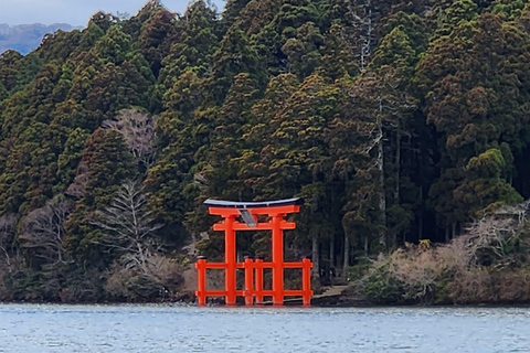 4-Daagse privétour Mt Fuji, Hakone, Nikko en Tokio.