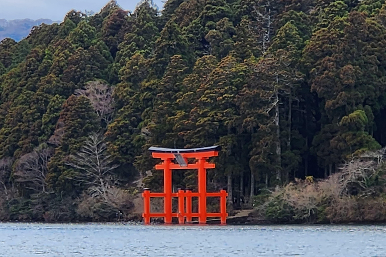 4-Daagse privétour Mt Fuji, Hakone, Nikko en Tokio.