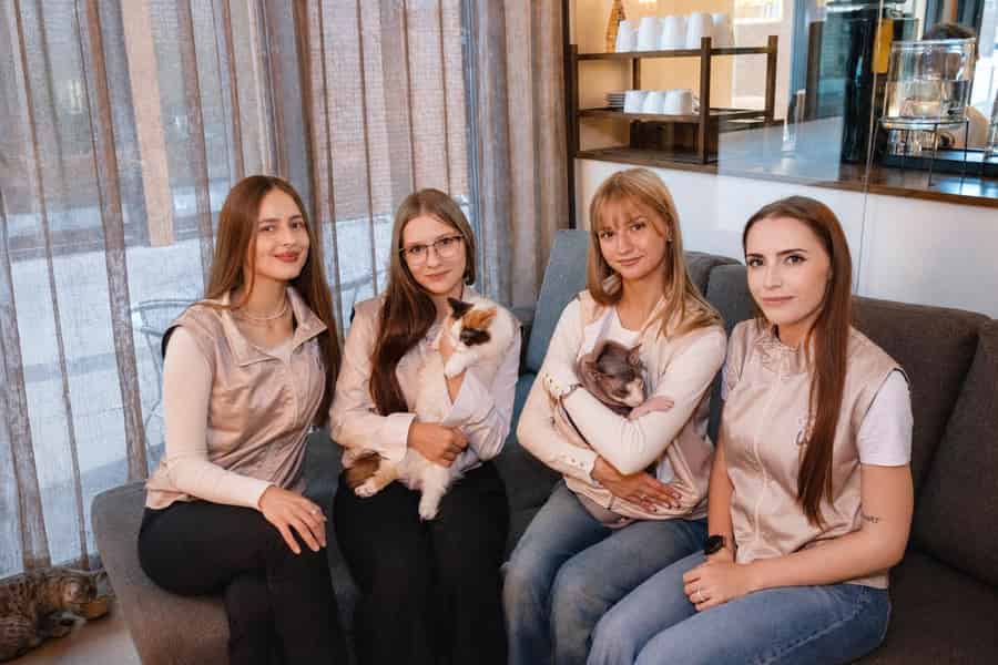 Tallinn: Eintritt ins Katzen-Café PAW’s for a Moment & Getränke. Foto: GetYourGuide