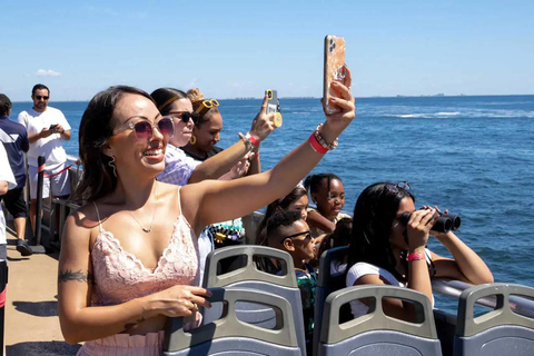NYC : croisière d&#039;observation des baleines au départ de ManhattanNew York : croisière d&#039;observation des baleines au départ de Manhattan